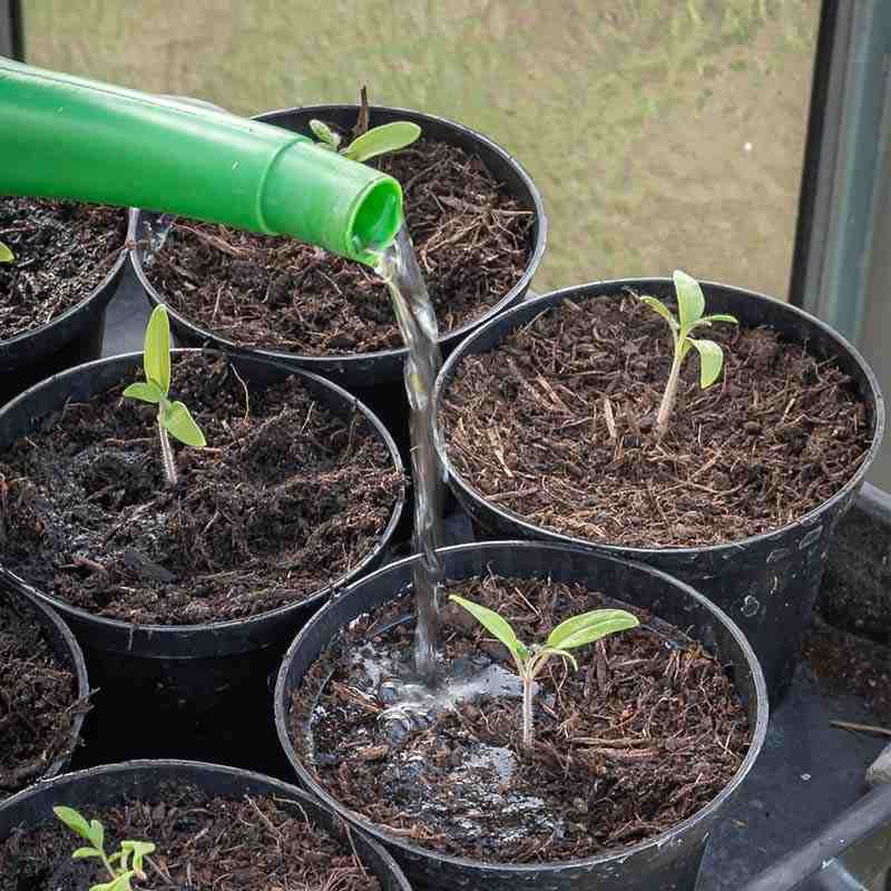 preparer-son-potager-couvert