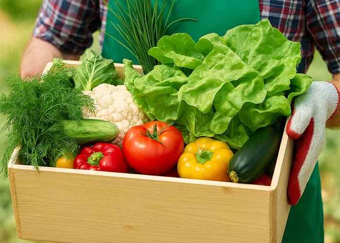 faire-un-potager-choix-legumes