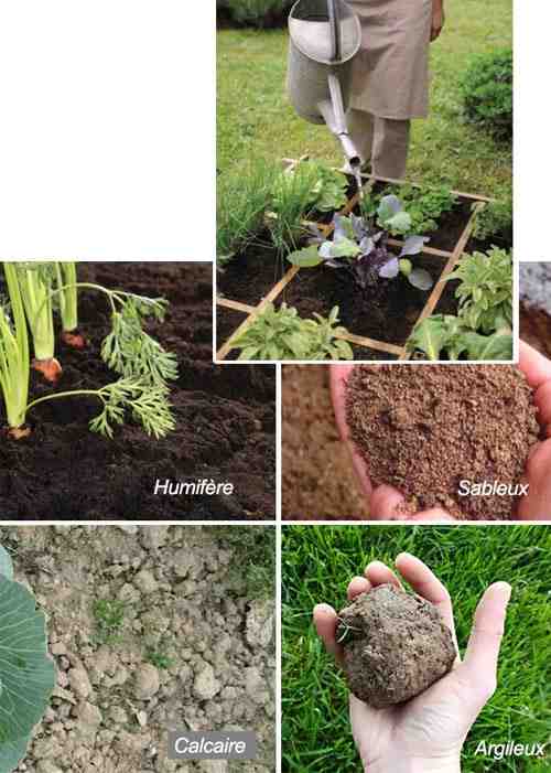Terreaux pour plantes de jardin et potager