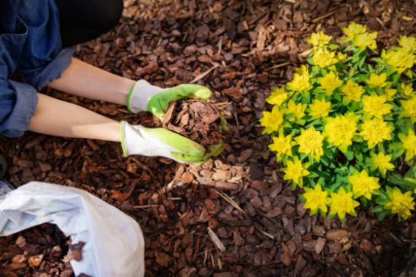 DEKOMULCH Copeaux de Bois et Paillage Naturel pour Jardins