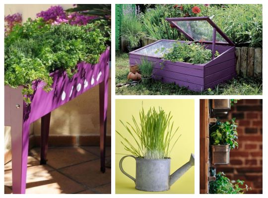 Décoration Jardin (conseils jardinage)