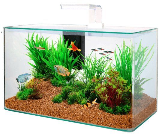 produits-aquarium-pas-cher