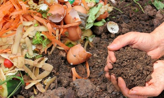 que-mettre-dans-un-composteur-dechets-cuisine