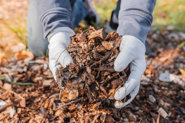 Que mettre dans un composteur ? - Jardindeco