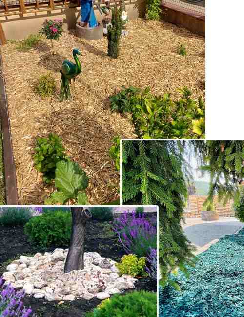 Paillage jardin Deco, Jardin et Pot de Fleurs