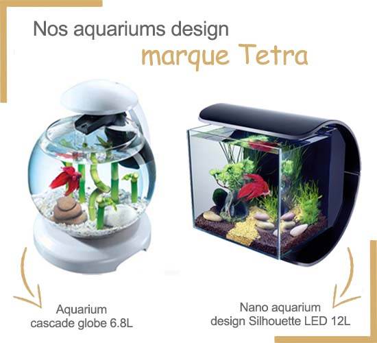 Nosaquariums, installer aquarium, eau, plantes et poissons