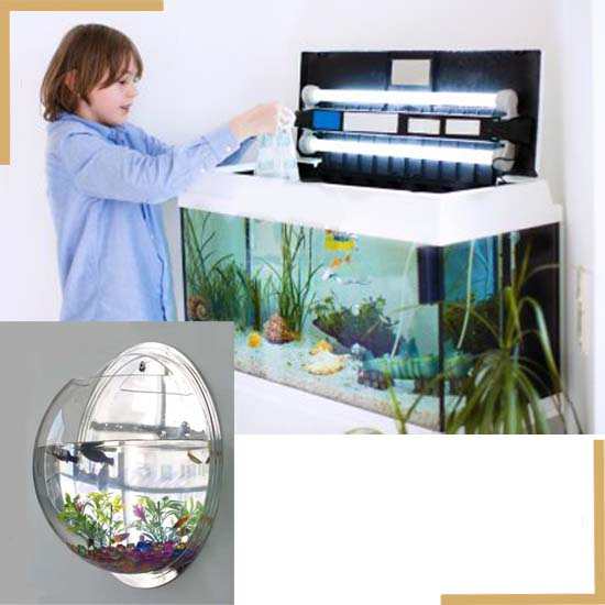 aquarium-blanc-design-vente