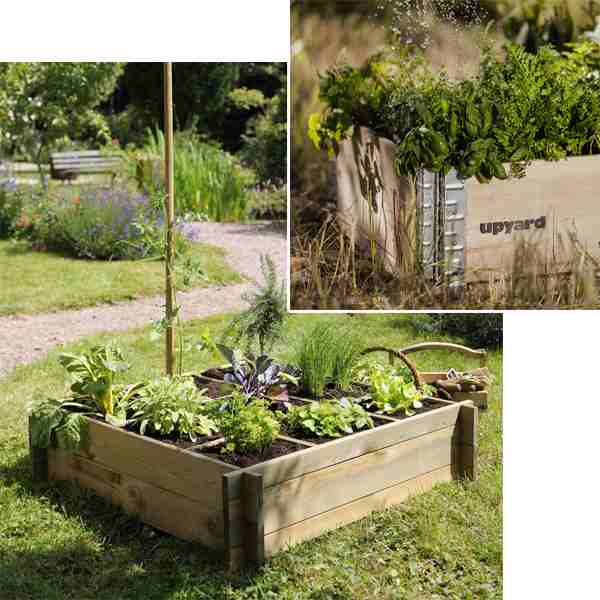 Carré potager sur pied, 4 cases, hauteur ajustable, bois, potager extérieur,  Solid, achat, pas cher