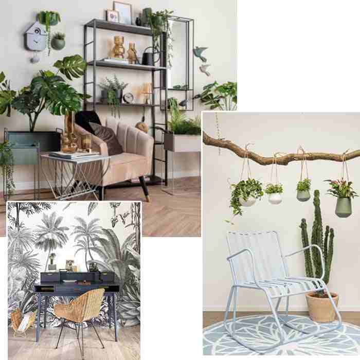 salon-jungle-idees-deco