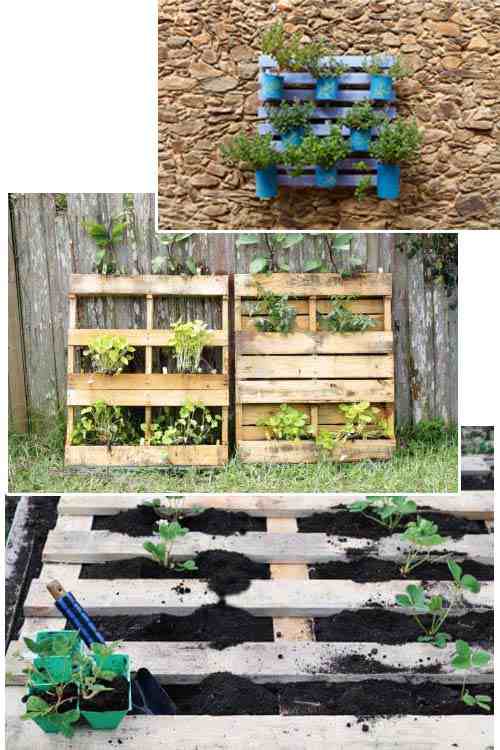 grand-carre-potager-en-bois-de-palette