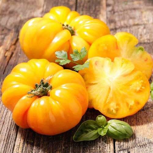 graine-de-tomates-pas-cher