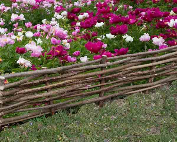 bordure-de-jardin-en-bois-vente