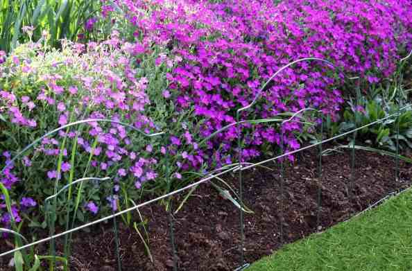 bordure-de-jardin-en-metal-vente