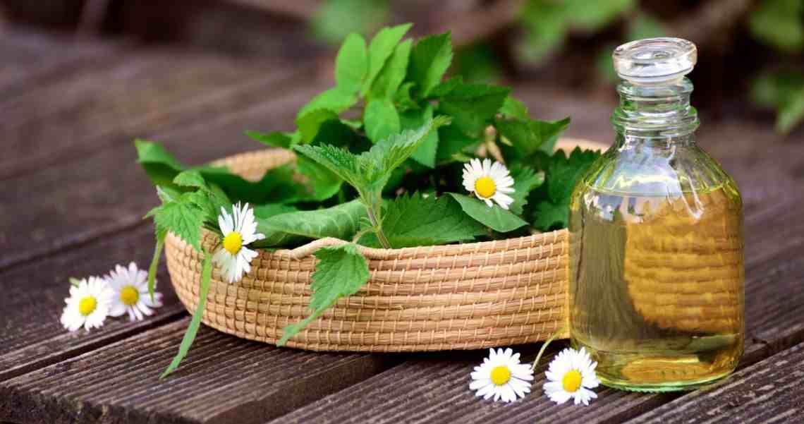 engrais-naturel-fait-maison-fraisiers