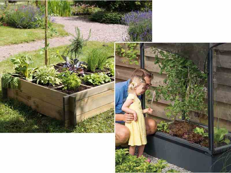 faire-un-potager-debutant