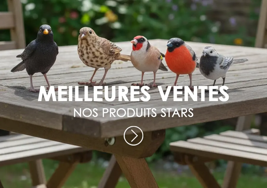Meilleures ventes Jardindeco