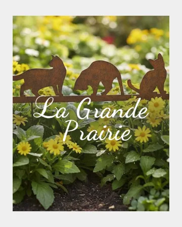 Marque La Grande Prairie