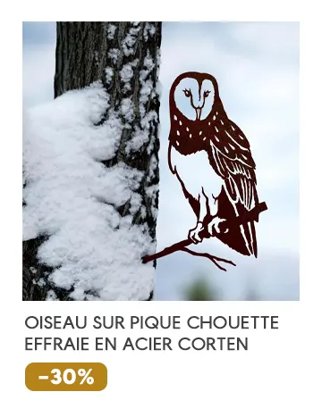 Oiseau sur pique chouette effraie