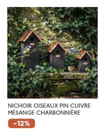 Nichoir à oiseaux en pin et cuivre (Mésange charbonnière)