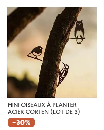 Oiseaux à planter taille mini en acier corten (Lot de 3)