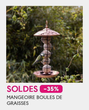 Soldes produit 4