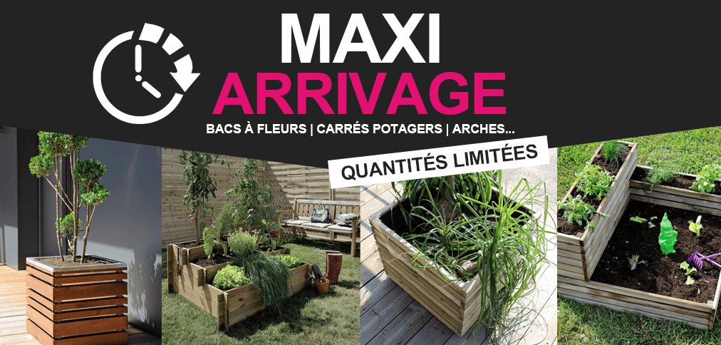 Maxi arrivage en stock