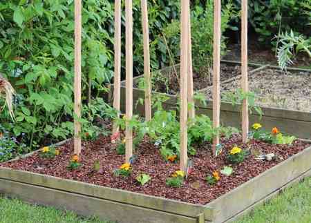 paillage-copeaux-de-bois-potager