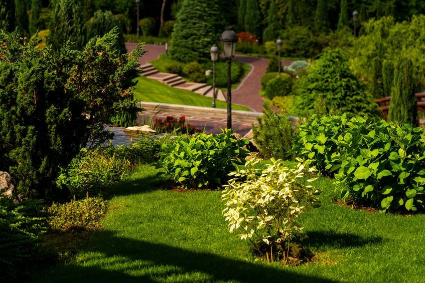 amenagement-jardin-en-pente-paysager