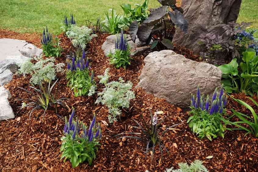 paillage-copeaux-de-bois-decoratif