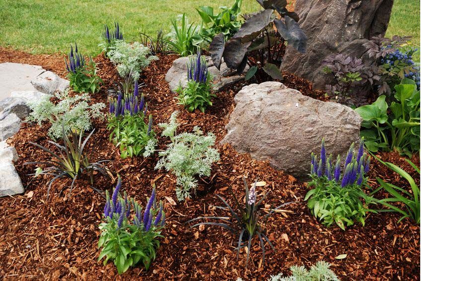 paillage-decoratif-copeaux-de-bois