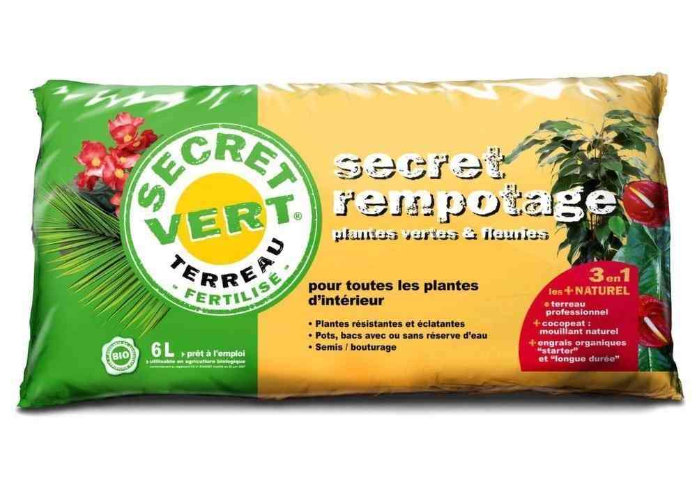 terreau-pour-tomate-rempotage