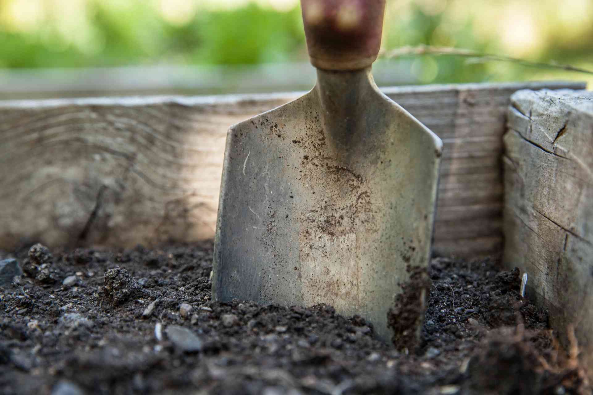 terreau-pour-tomate-en-pot