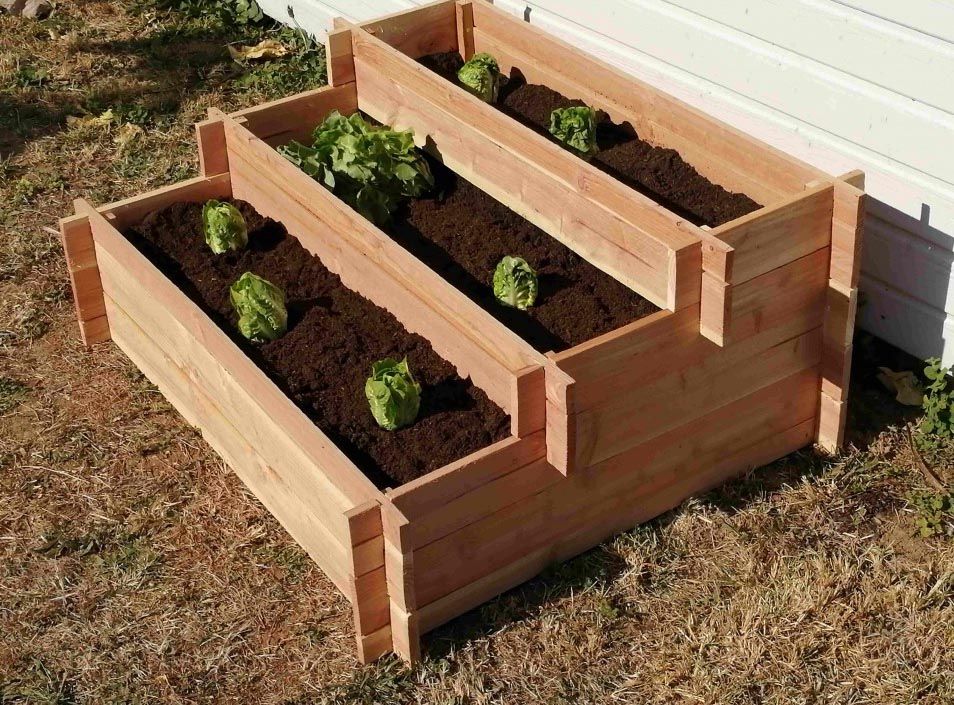 carre-potager-escalier-3-niveaux