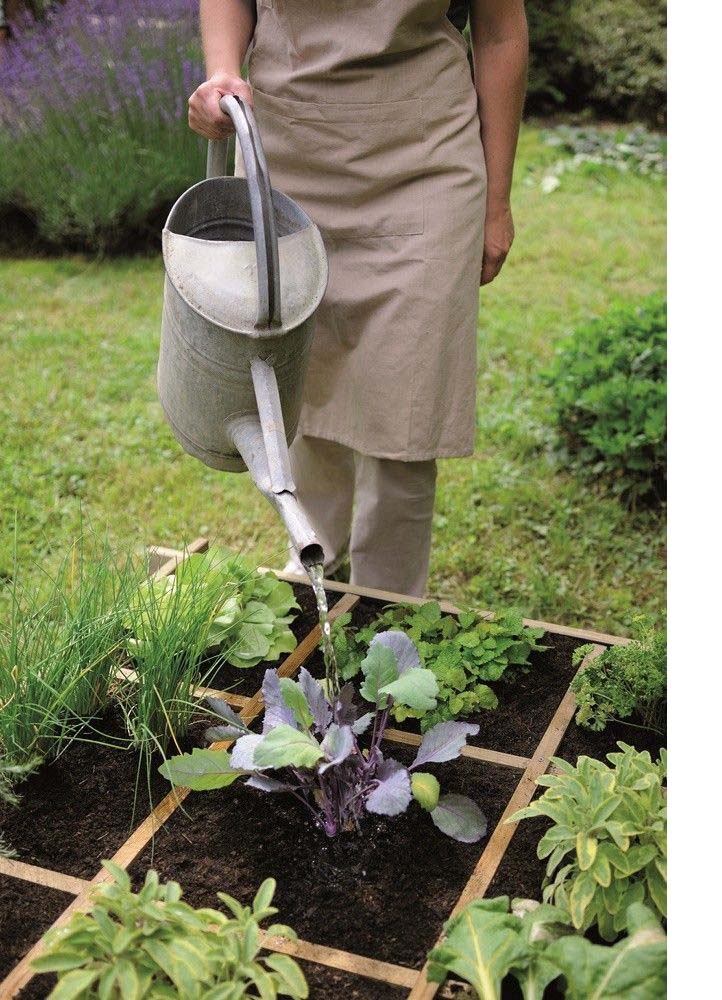  carre-potager-permaculture-remplissage
