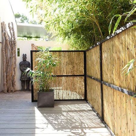 canisse-bambou-pas-cher