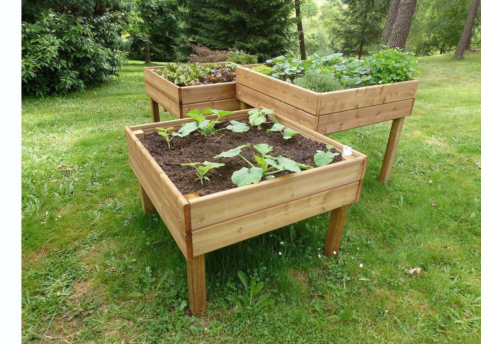 preparer-son-potager-carre-potager-sureleve