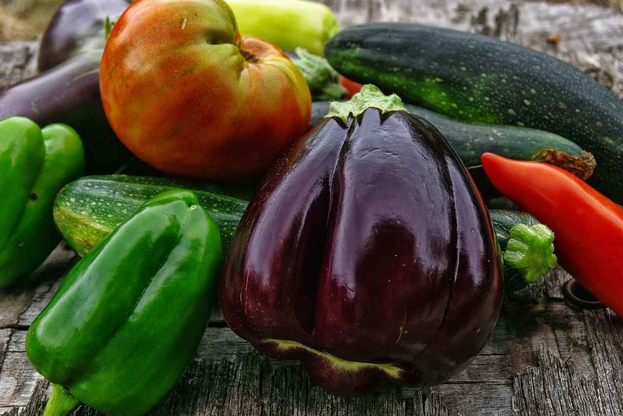terreau-biologique-potager