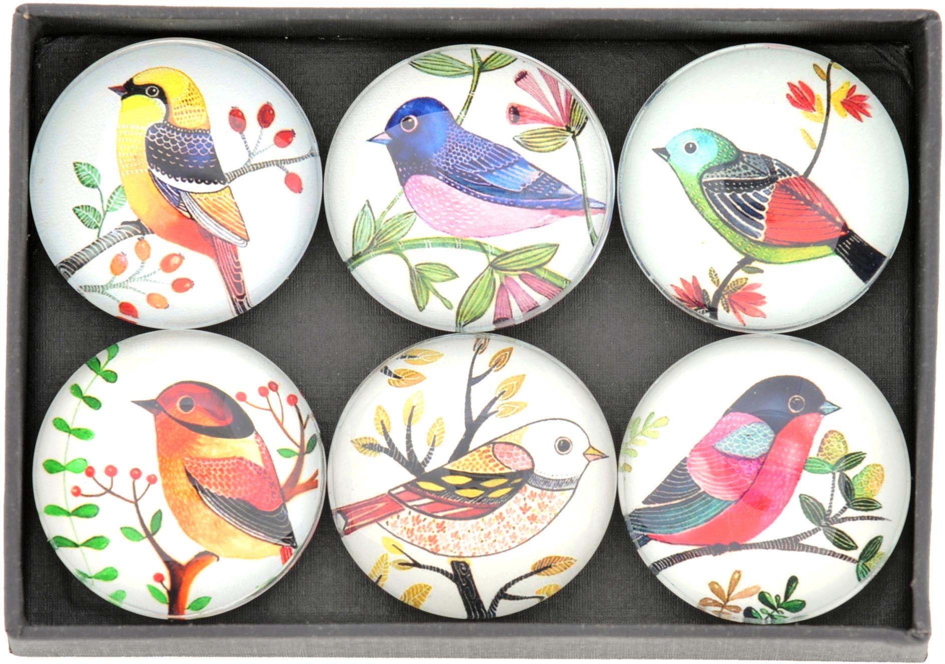 Magnet oiseaux colorés (Lot de 6)