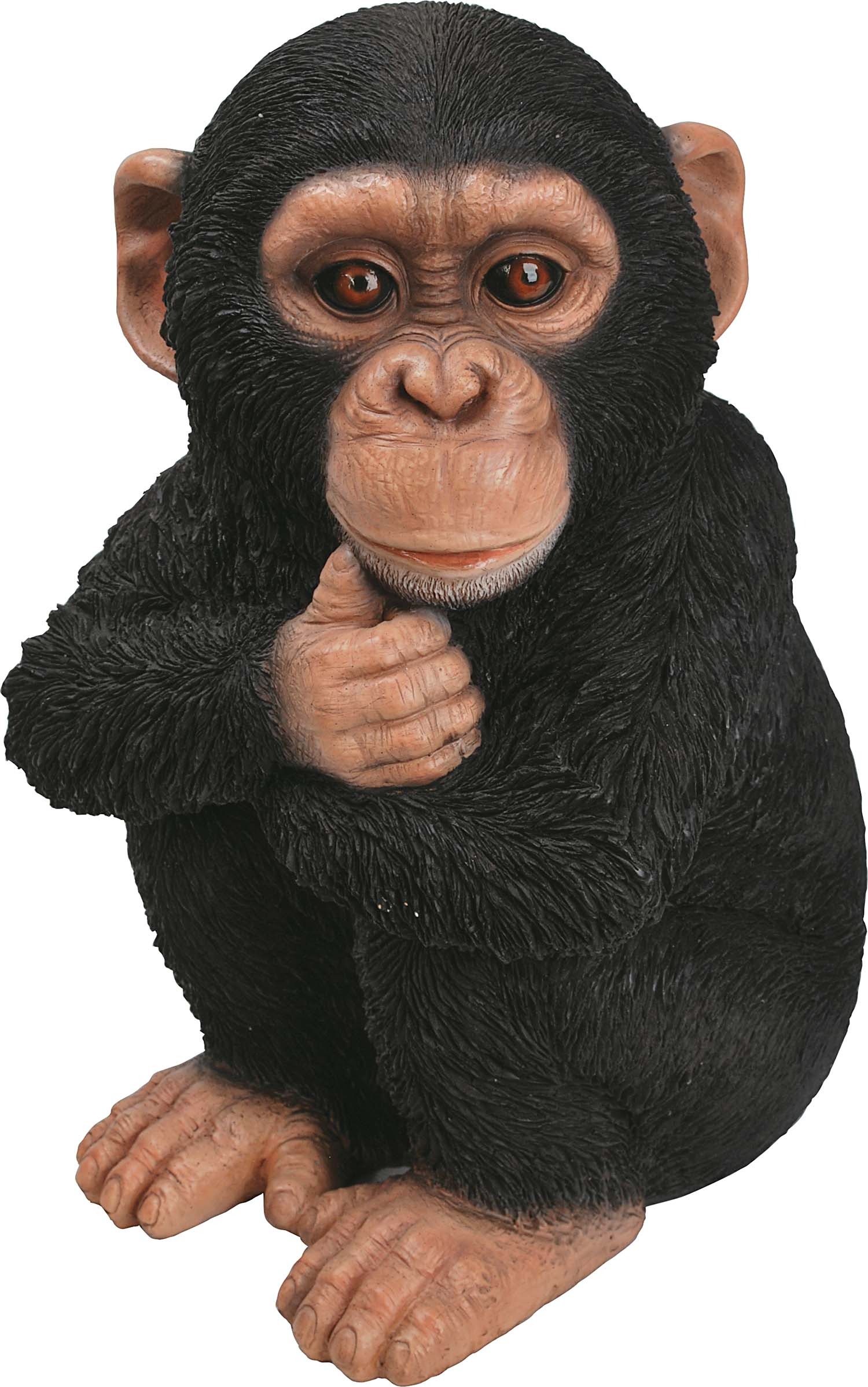 Bébé chimpanzé en résine 31 cm