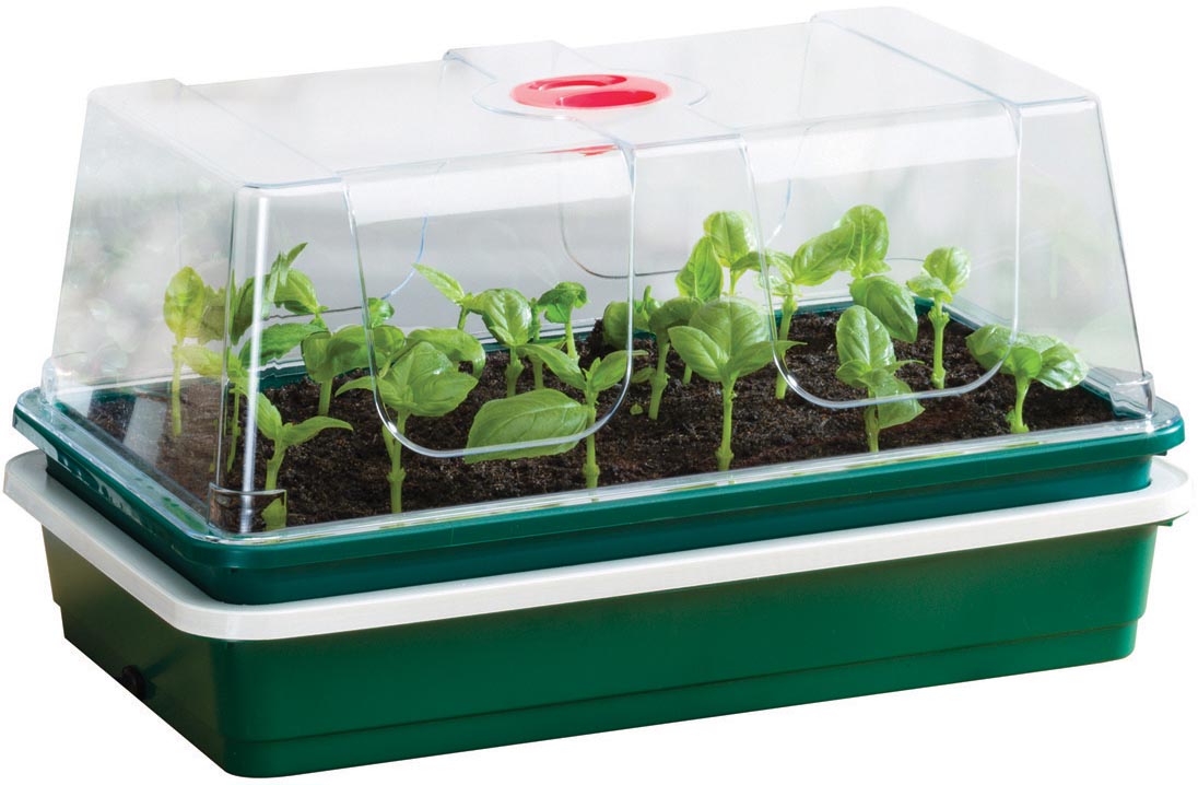 Serre chauffée compacte 8 W One top