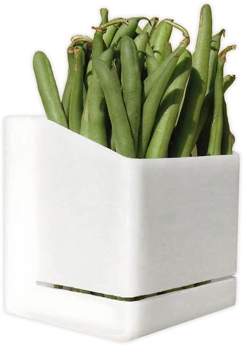 Equeuteur pour haricots verts Haricut