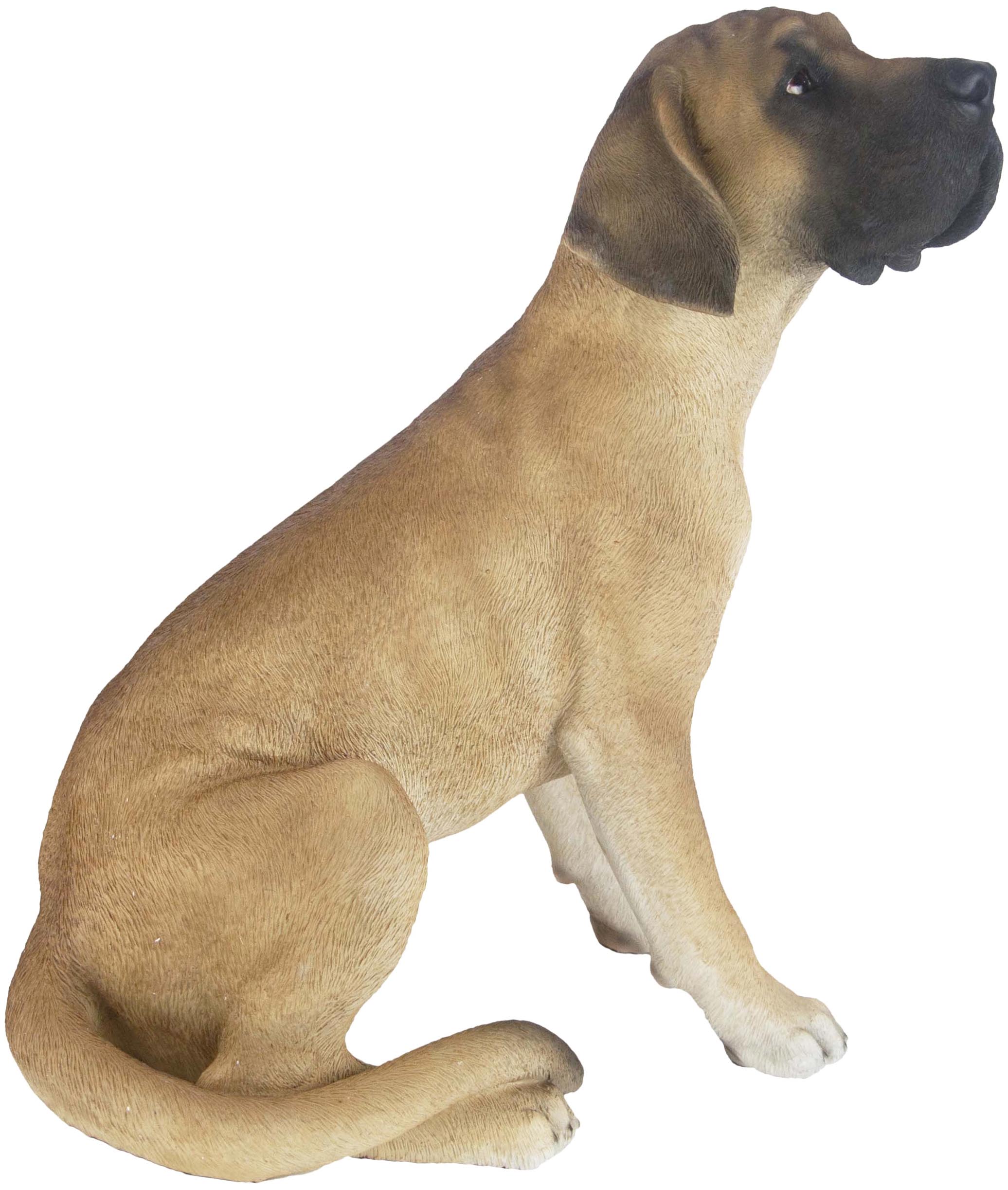 Dogue allemand assis en résine 52 cm