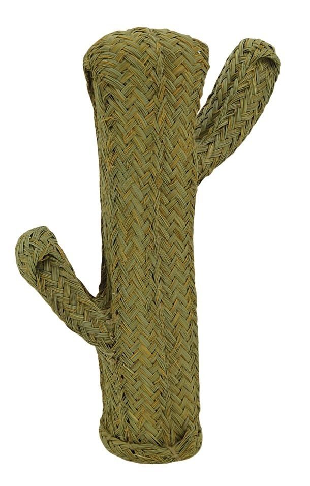 Cactus en alpha Hauteur 65 cm