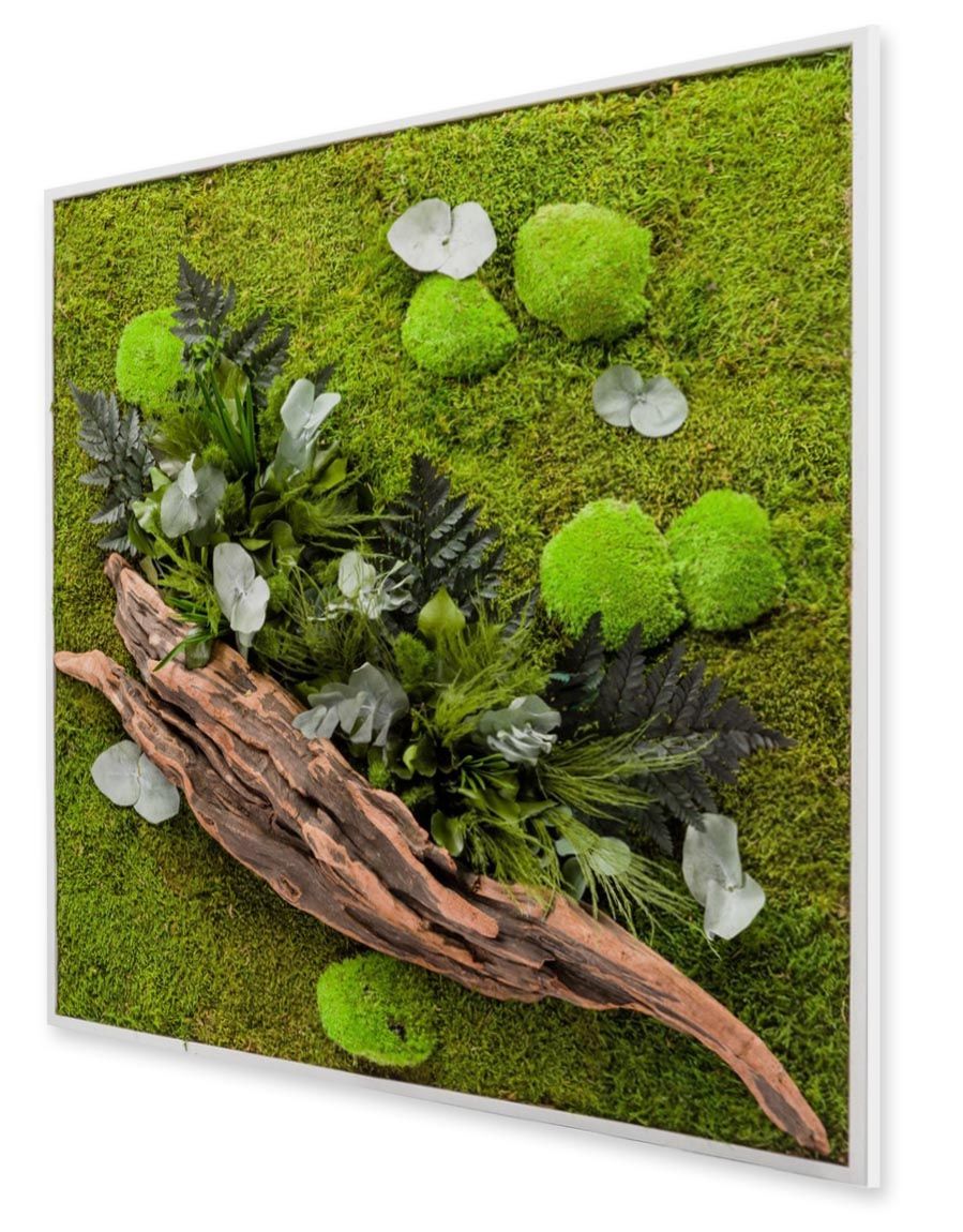 Tableau végétal stabilisé Carré XL Nature