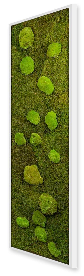 Tableau végétal avec plantes stabilisées Pano Mousse