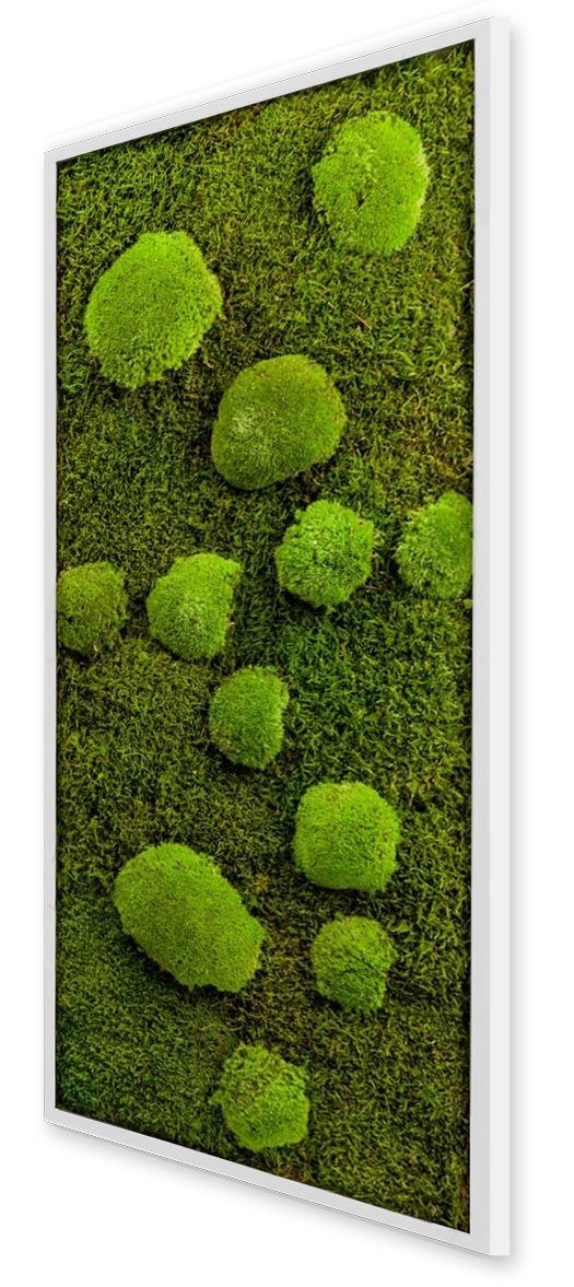 Tableau végétal avec plantes stabilisées Rectangle Mousse