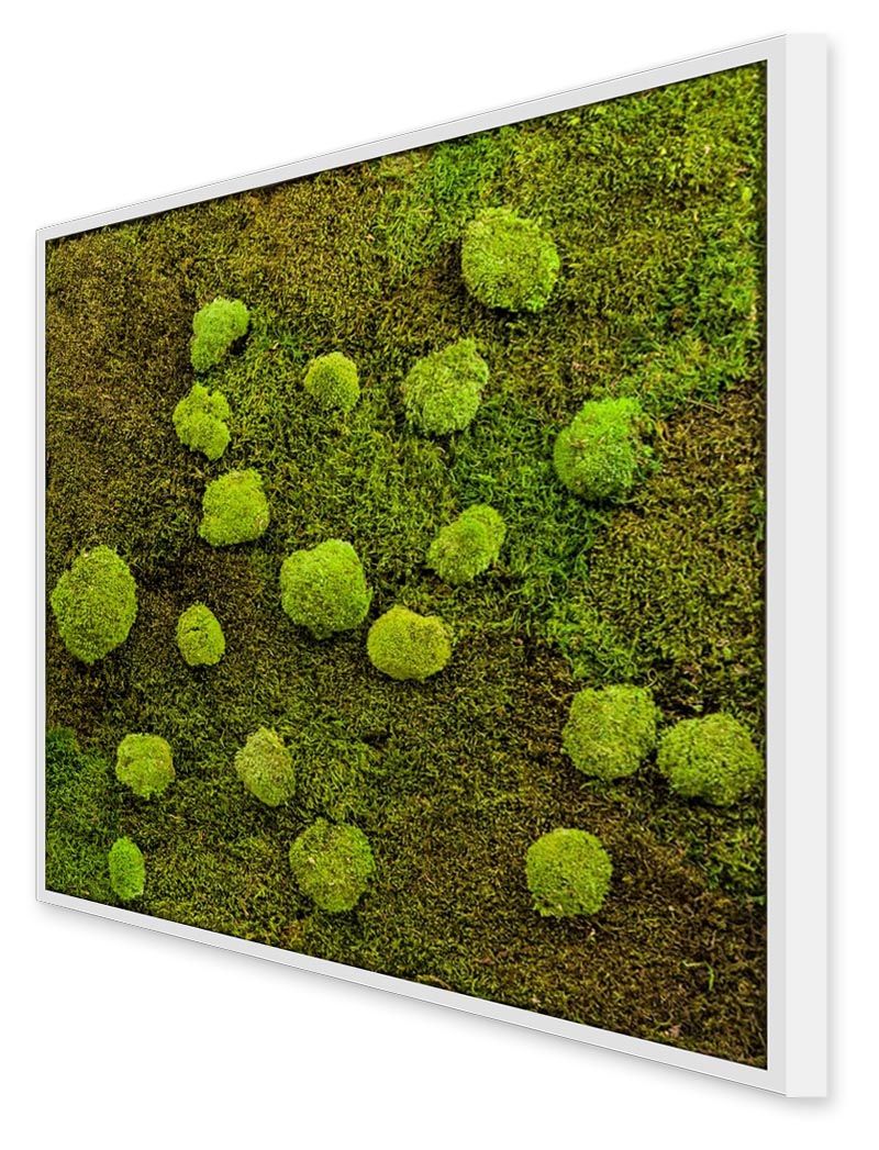 Tableau végétal avec plantes stabilisées Carré XL Mousse
