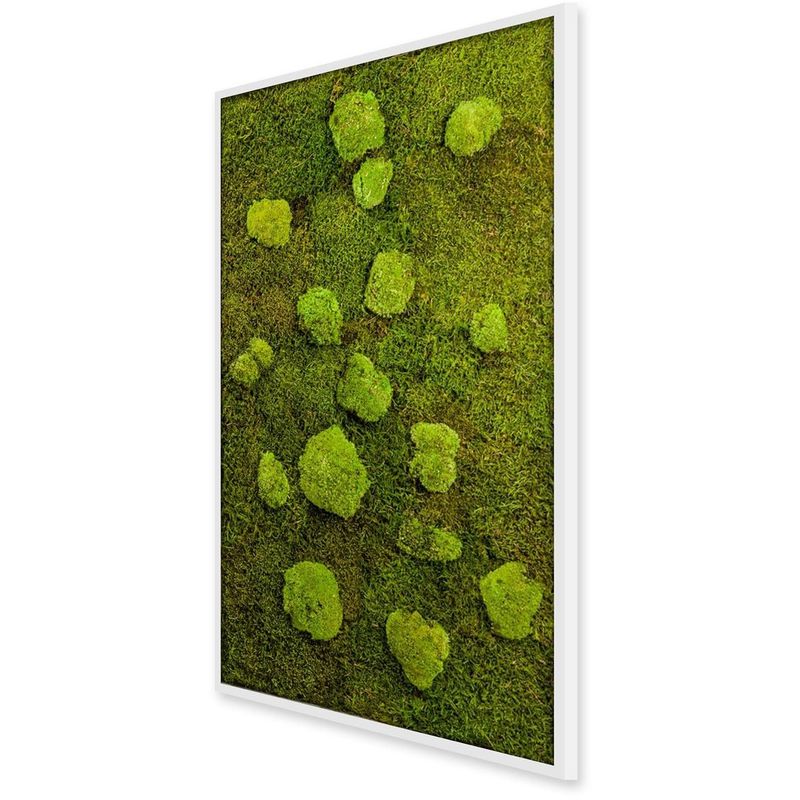 Tableau végétal avec plantes stabilisées Rectangle XL Mousse