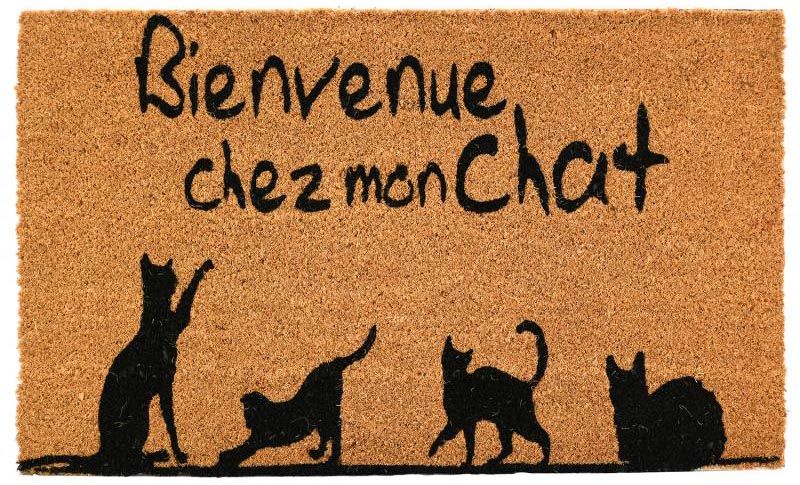 Paillasson en fibres de coco Bienvenue chez mon chat