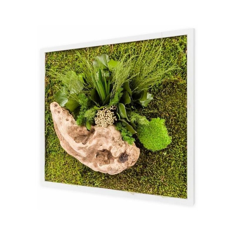 Tableau végétal carré nature avec plantes stabilisées